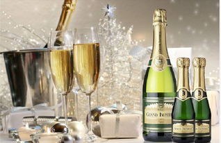 天津西班牙氣泡酒進(jìn)口報(bào)關(guān)代理